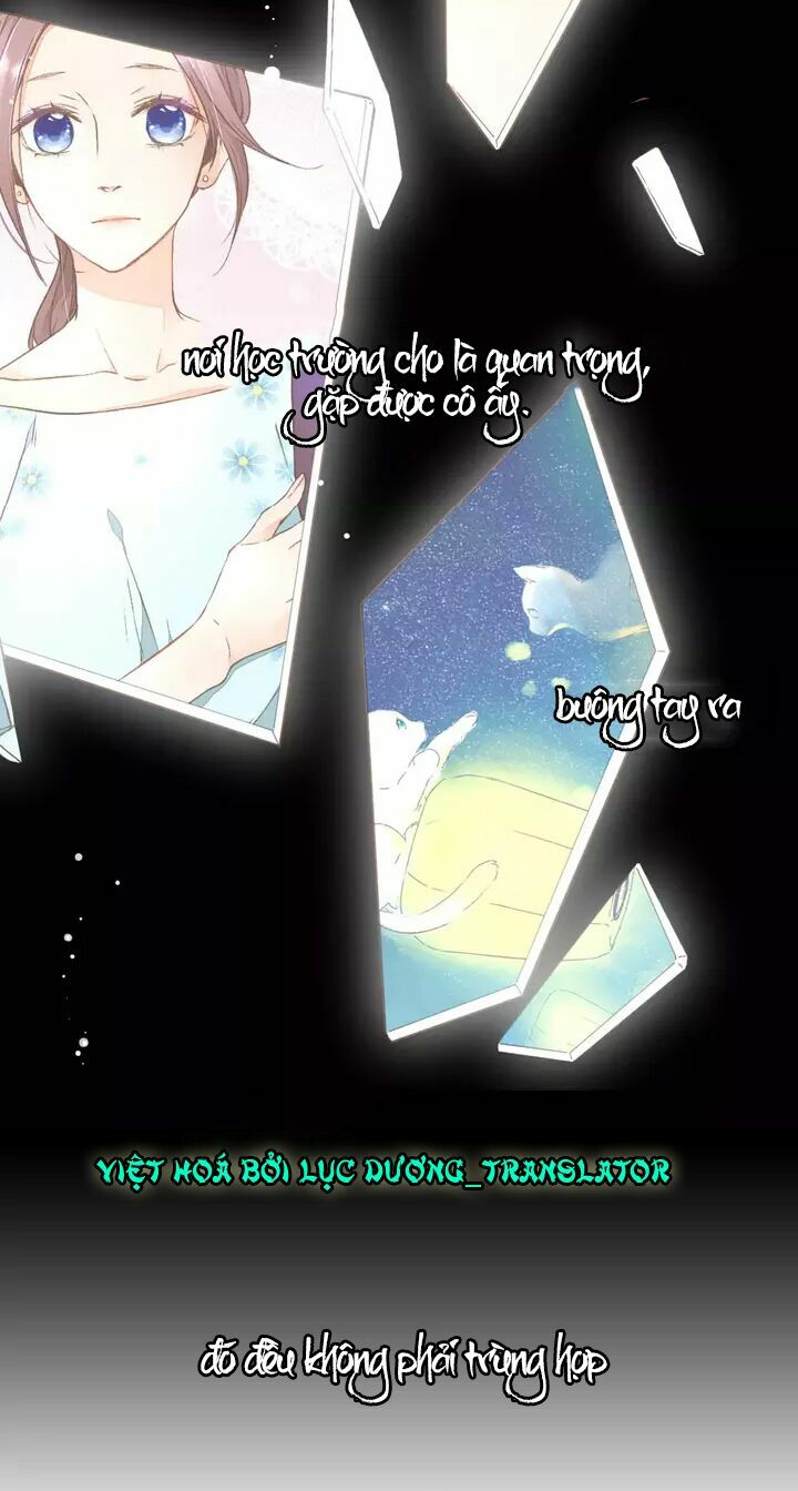 Tình yêu là màu hoa anh thảo chapter 32.3 20