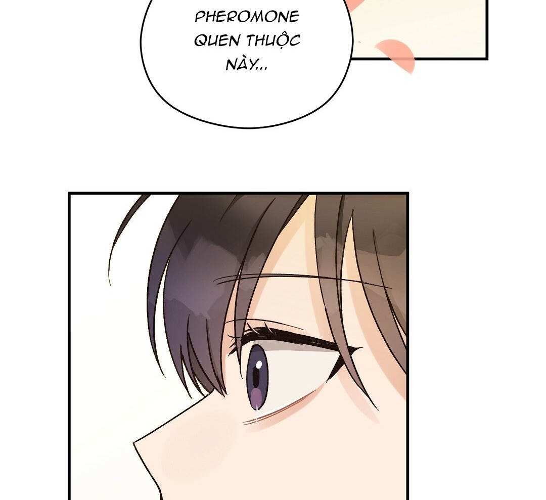 phức cảm tự ti của omega chapter 8 138