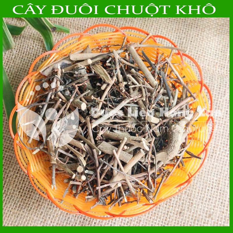 Cây Đuôi Chuột khô đóng gói 500gram