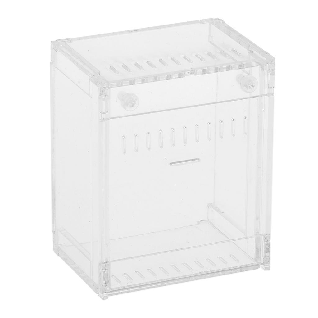 Acrylic Pet Reptiles Worm  Breeding Box Clear Cases for Reptile