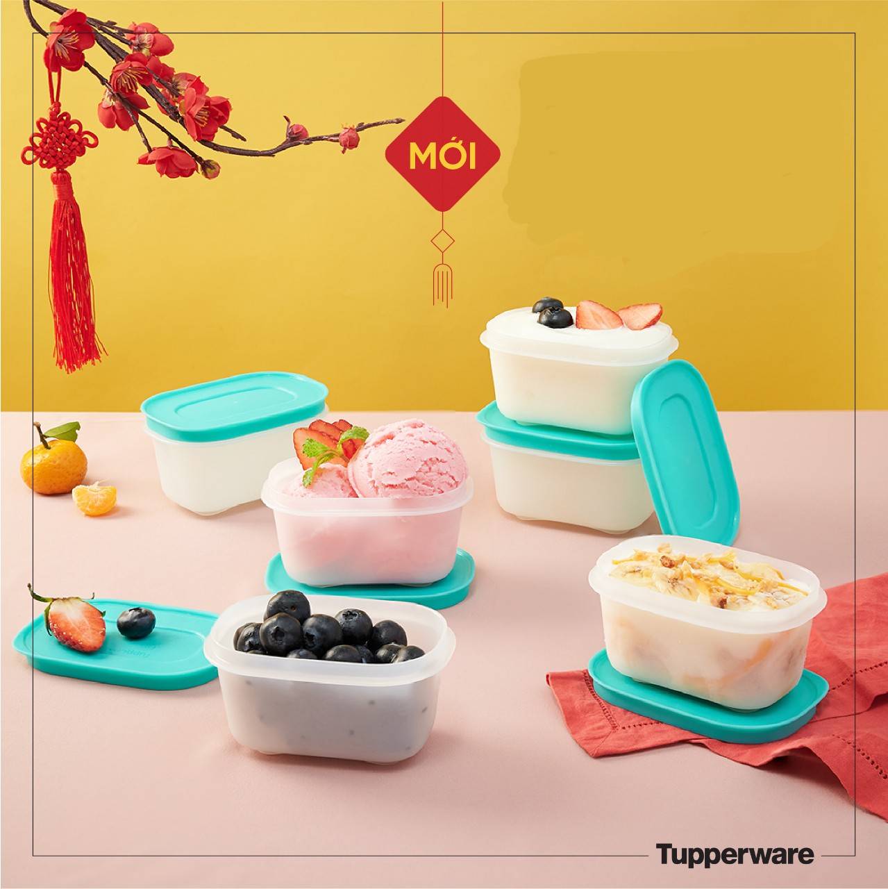 BỘ HỘP TRỮ ĐÔNG MINI FREEZERMATE GEN II 170ML