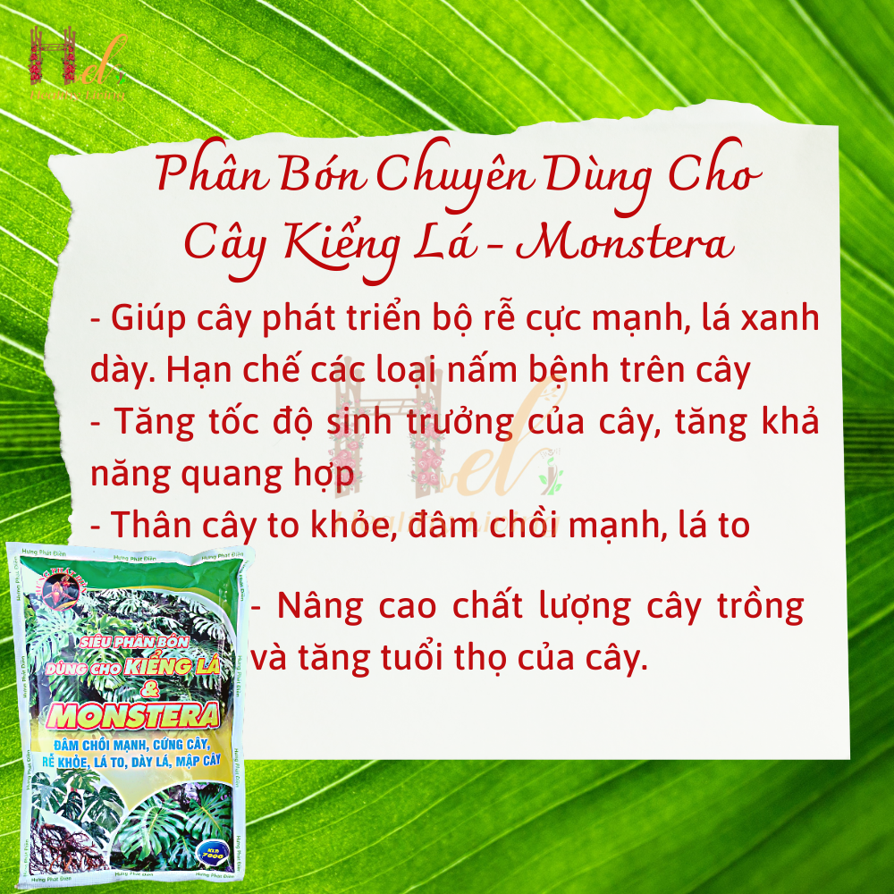 Phân Bón Hữu Cơ Kiểng Lá, Chuyên Dụng Cho Cây Trong Nhà, Monstera, Kiểng Lá. Gói 700gr Đâm Chồi Mạnh, Cứng Cây