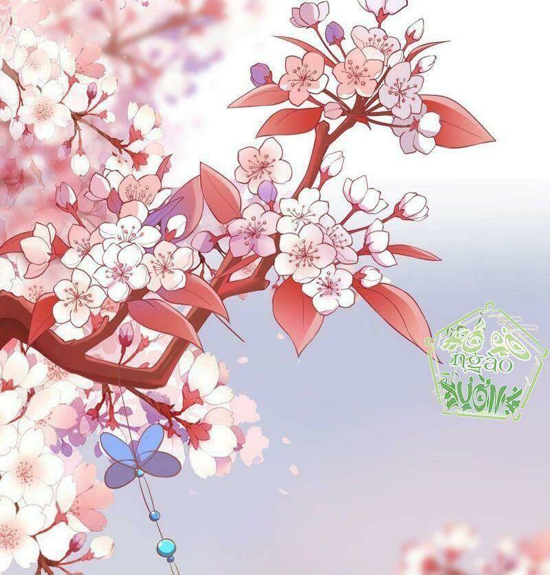 quận chúa vững vàng, thiết lập nhân vật không thể vỡ chapter 0 32