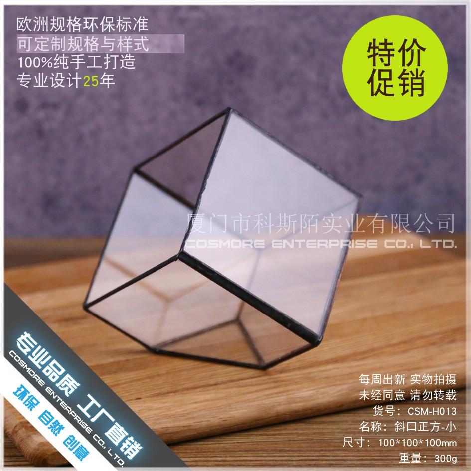 Bình TERRARIUM  - bình thủy tinh trồng cây - chậu kính hình học terarium