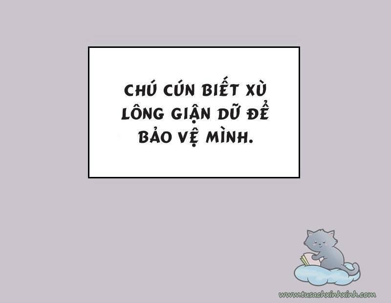 ngày định mệnh của đôi ta chapter 13 77