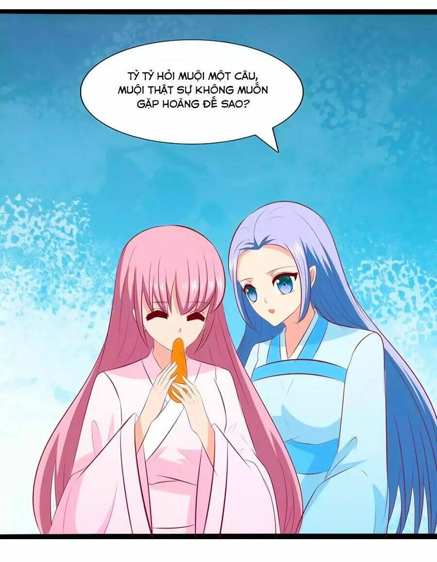 thỏ yêu tiểu vương phi chapter 84 25