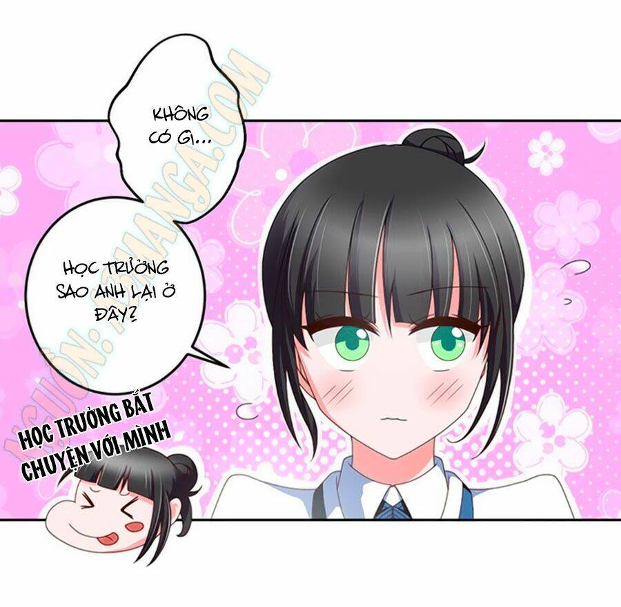 người yêu khát máu của tôi chapter 9 5