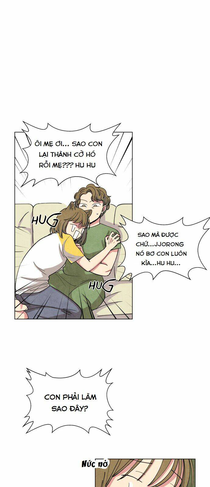 tai sói và mũ đỏ chapter 1 54