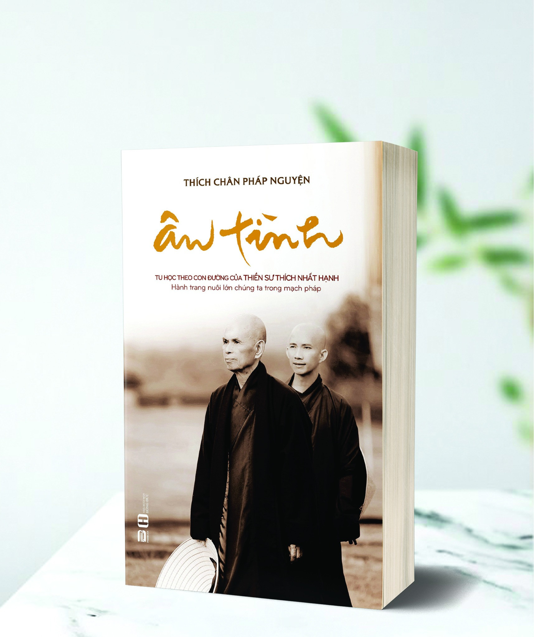 ÂN TÌNH - Thích Chân Pháp Nguyện - Tái bản -