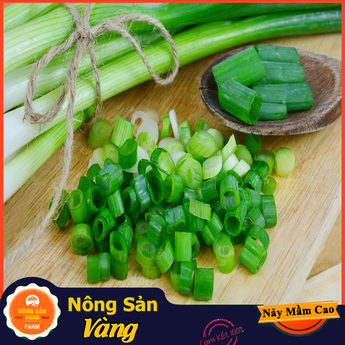 Hạt giống Hành Lá ( Gói 1 Gram ) - Nông Sản Vàng