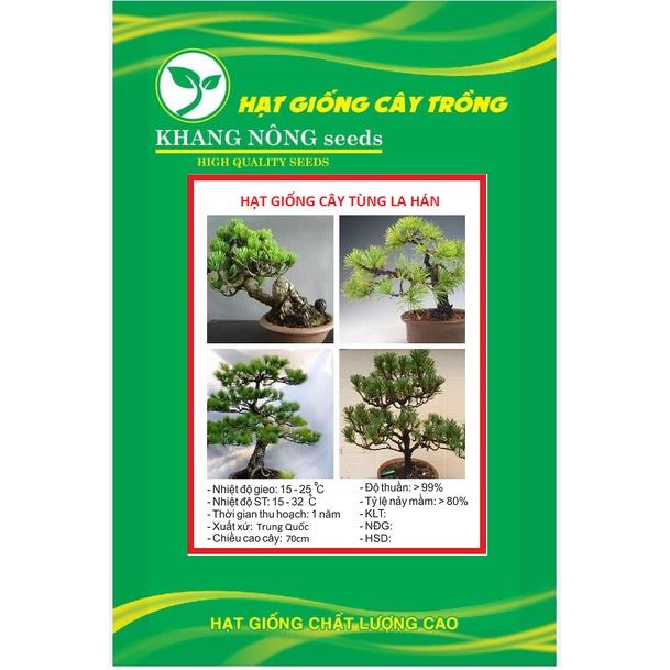 Hạt giống cây tùng la hán KNS3442 - Gói 10 hạt