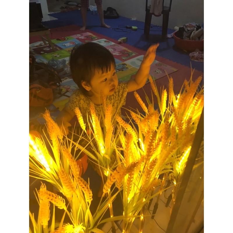 Đèn led bông lúa,đèn led luá mạch,đèn sân vườn