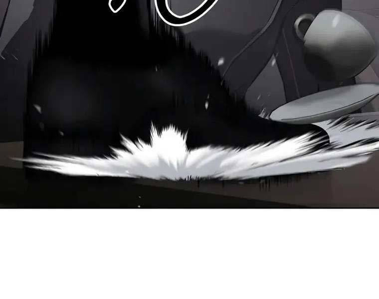 đặc vụ song sinh chapter 62.5 104