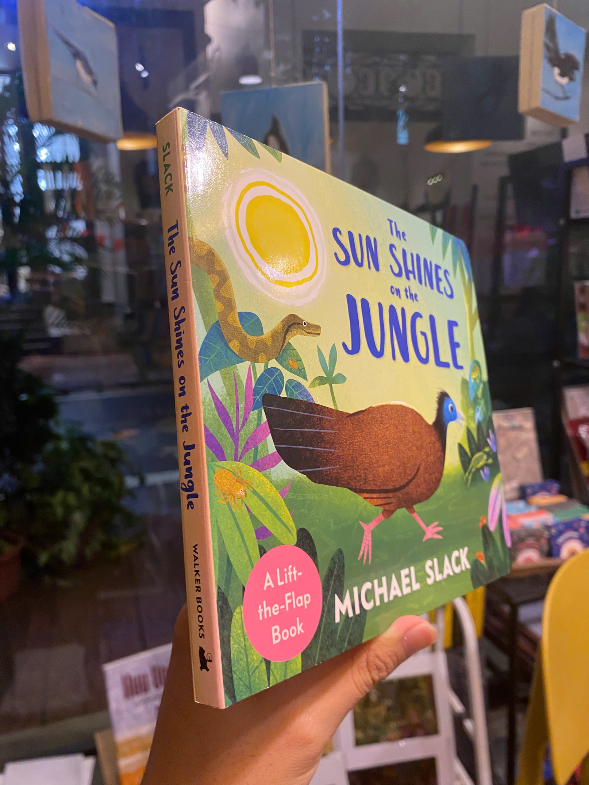 Sách - The Sun Shines on the Jungle by Michael Slack | English Children's Activity Picture Book