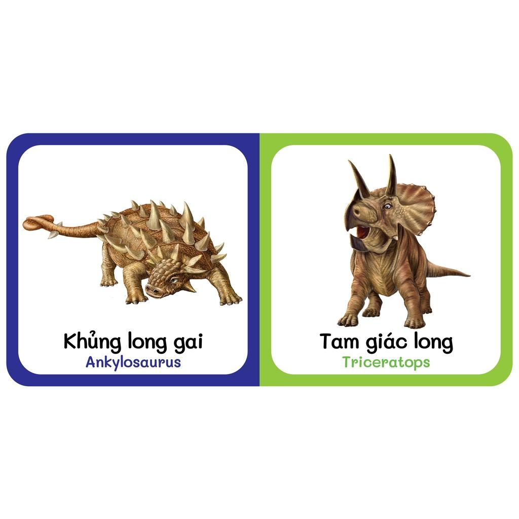 Sách - Baby'S First Picture Dictionary - Từ Điển Bằng Hình Đầu Tiên Của Bé - Khủng Long - Dinosaurs (Bìa Cứng)