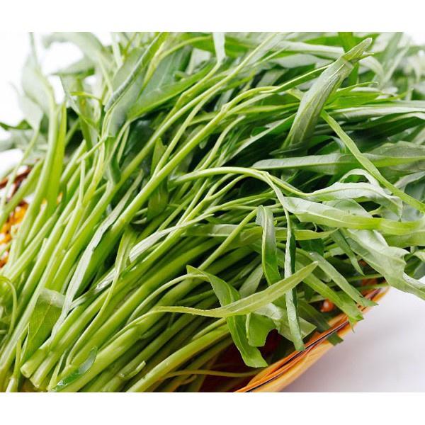 Hạt giống rau muống F1 loại dễ trồng năng suất cao kháng sâu bệnh