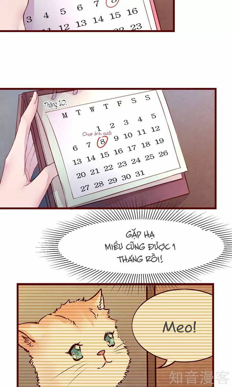 đào tạo nuôi dưỡng bạn trai mèo chapter 31 10