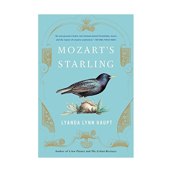 Mozart's Starling