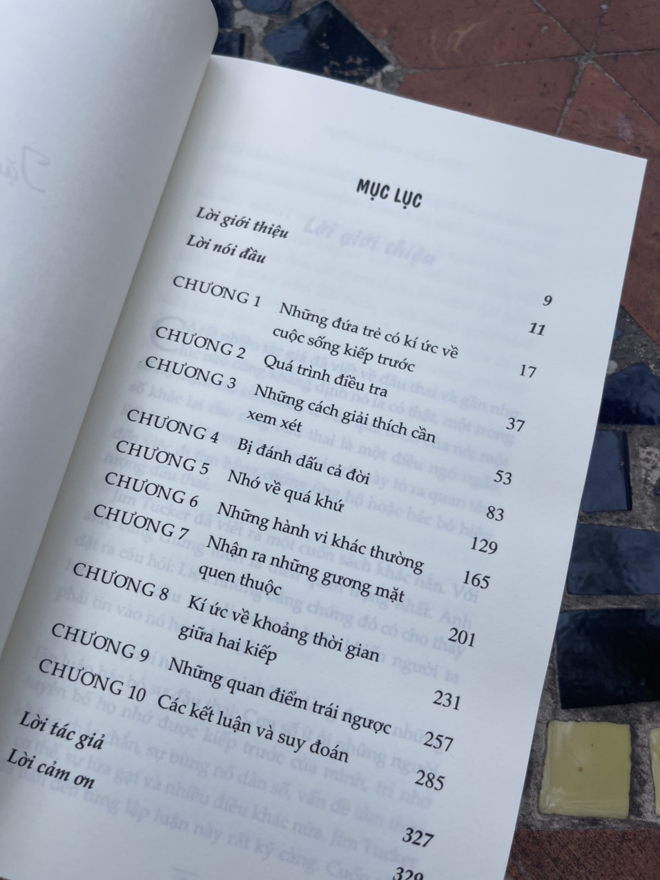 TIỀN KIẾP CÓ HAY KHÔNG? -  Jim B.Tucker – Hoàng Mai Hoa dịch - Thái Hà – NXB Thế giới