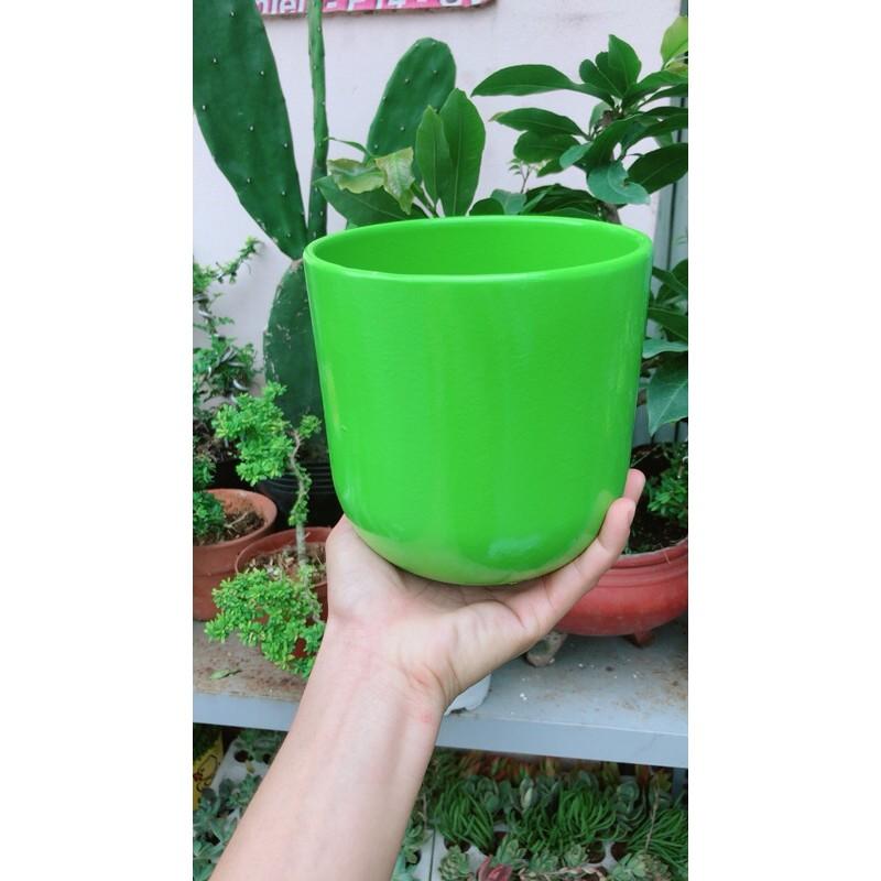 Chậu Trồng Cây