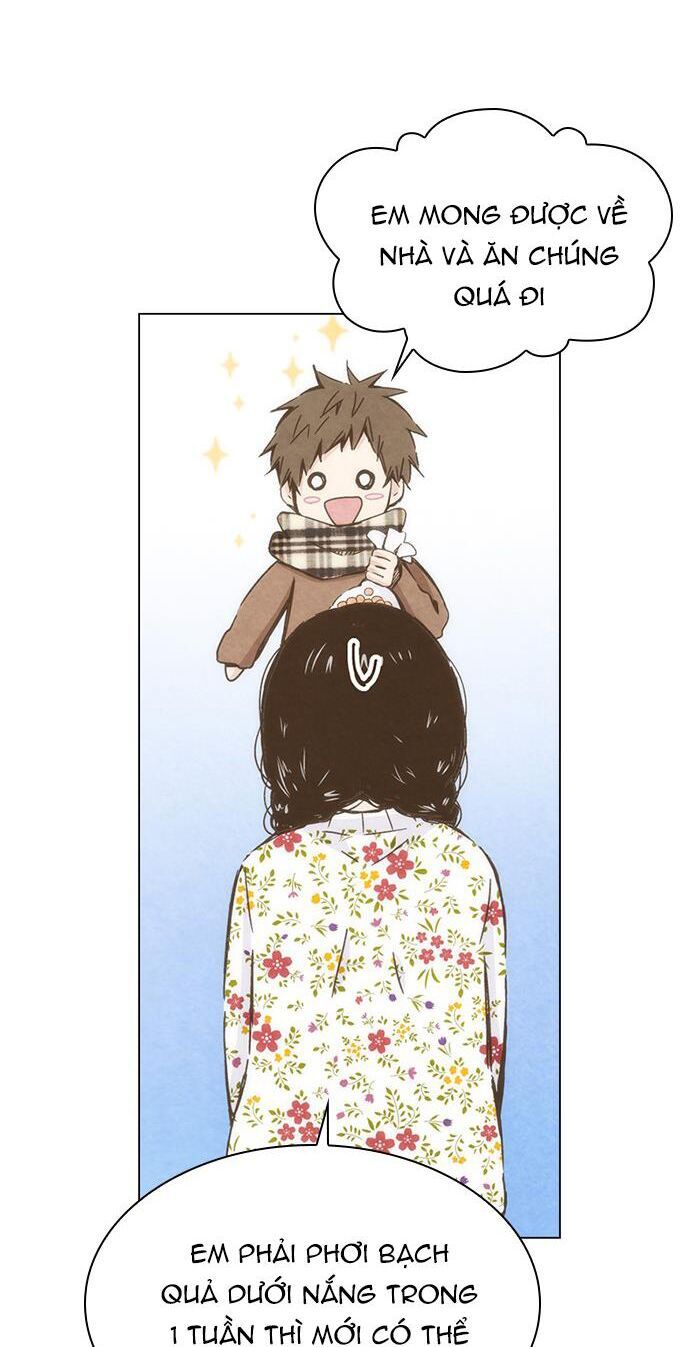 honey! honey! marry me! chapter 64 36