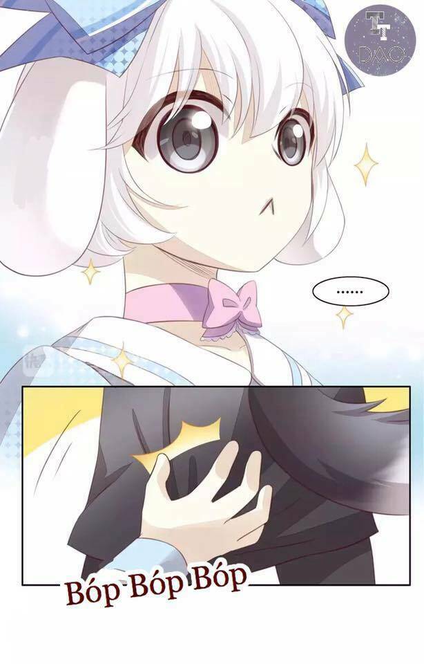 dưới móng vuốt mèo chapter 17 82