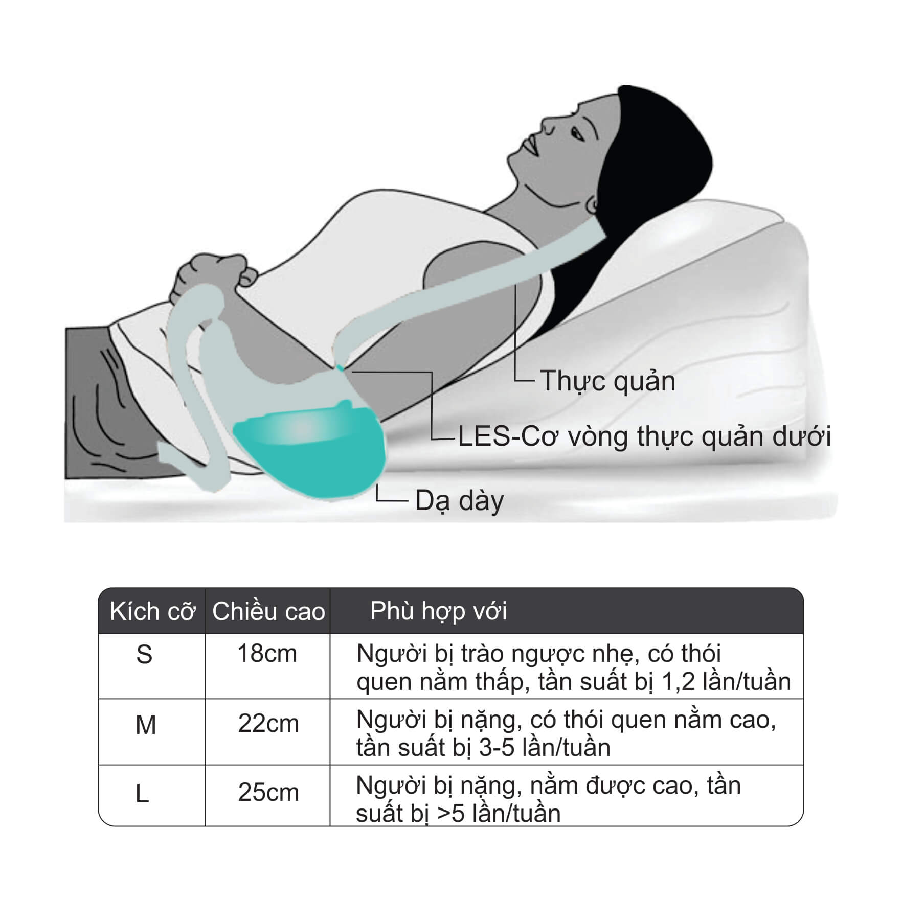 Gối Chống Trào Ngược Dạ Dày Cao Cấp ASALAA , (Tặng Kèm Gối Đầu Chống Trượt )