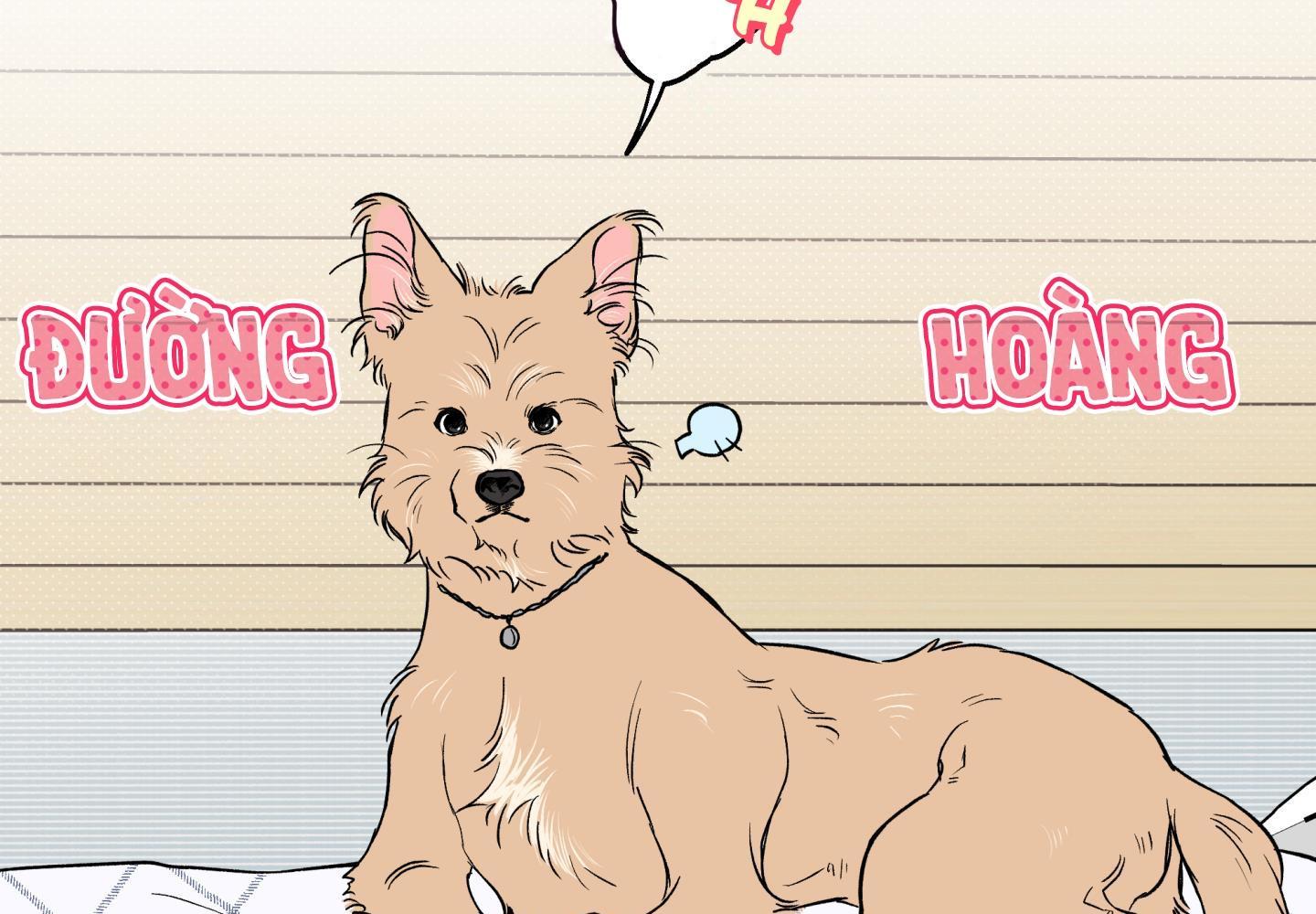 gâu gâu! chapter 49 56