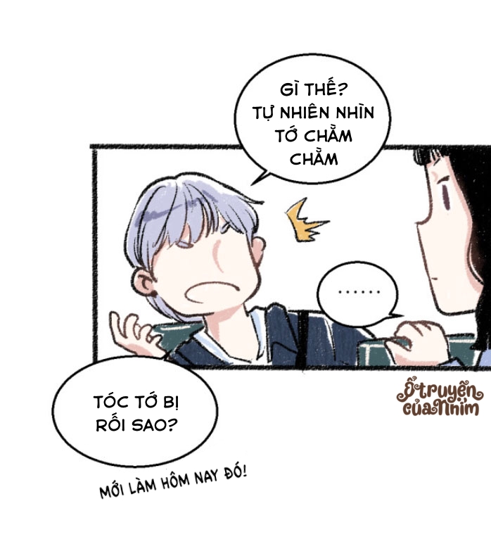 ngày ngày đi nhờ xe! chapter 19 19