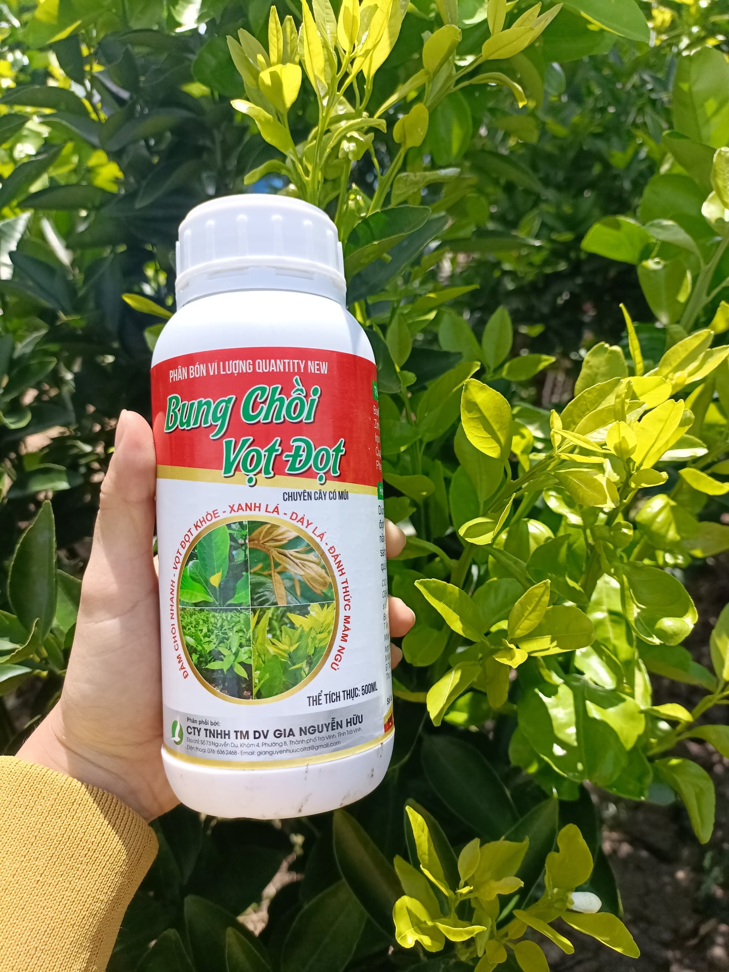 BUNG CHỒI VỌT ĐỌT CHAI 500ML - Đâm chồi mạnh, vọt đọt khỏe, ra nhiều đọt to và mập - Lá ra dày, mượt, phục hồi cây sau thu hoạch.