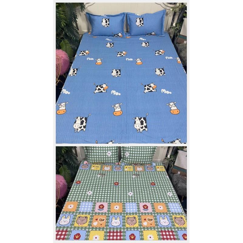 Bộ ga gối trần bông BAMBILOO cotton nhật