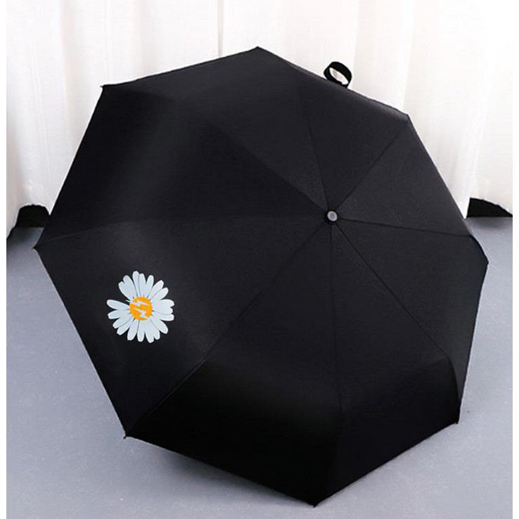 Dù xếp hoa cúc daisy Hàn Quốc màu đen