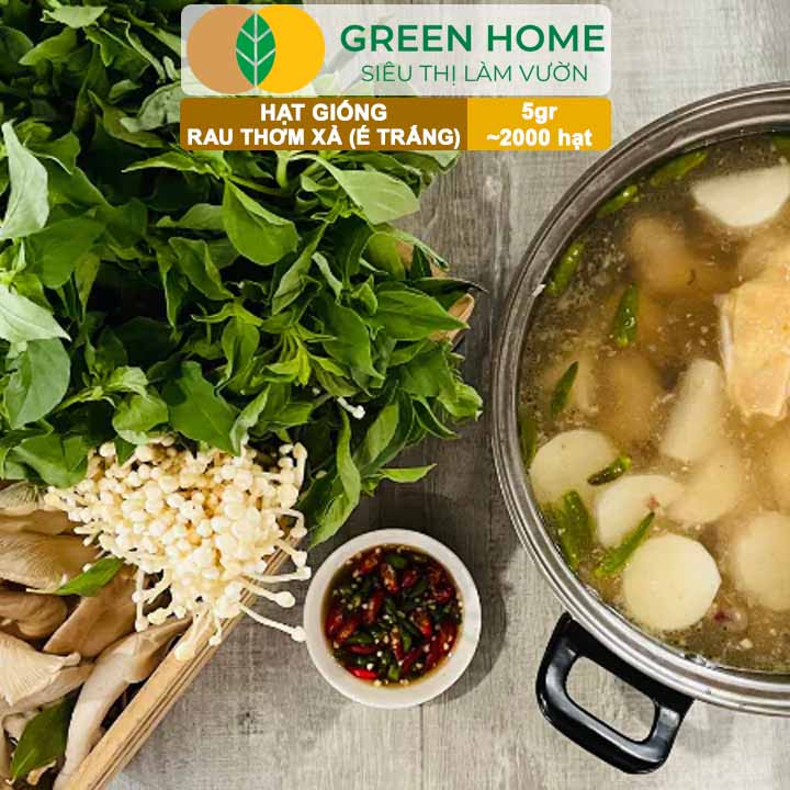 Hạt Giống Rau Thơm Xả (É Trắng) GreenHome, Gói 5g~2000 hạt, Sinh Trưởng Khỏe, Dễ Trồng Quanh Năm G19
