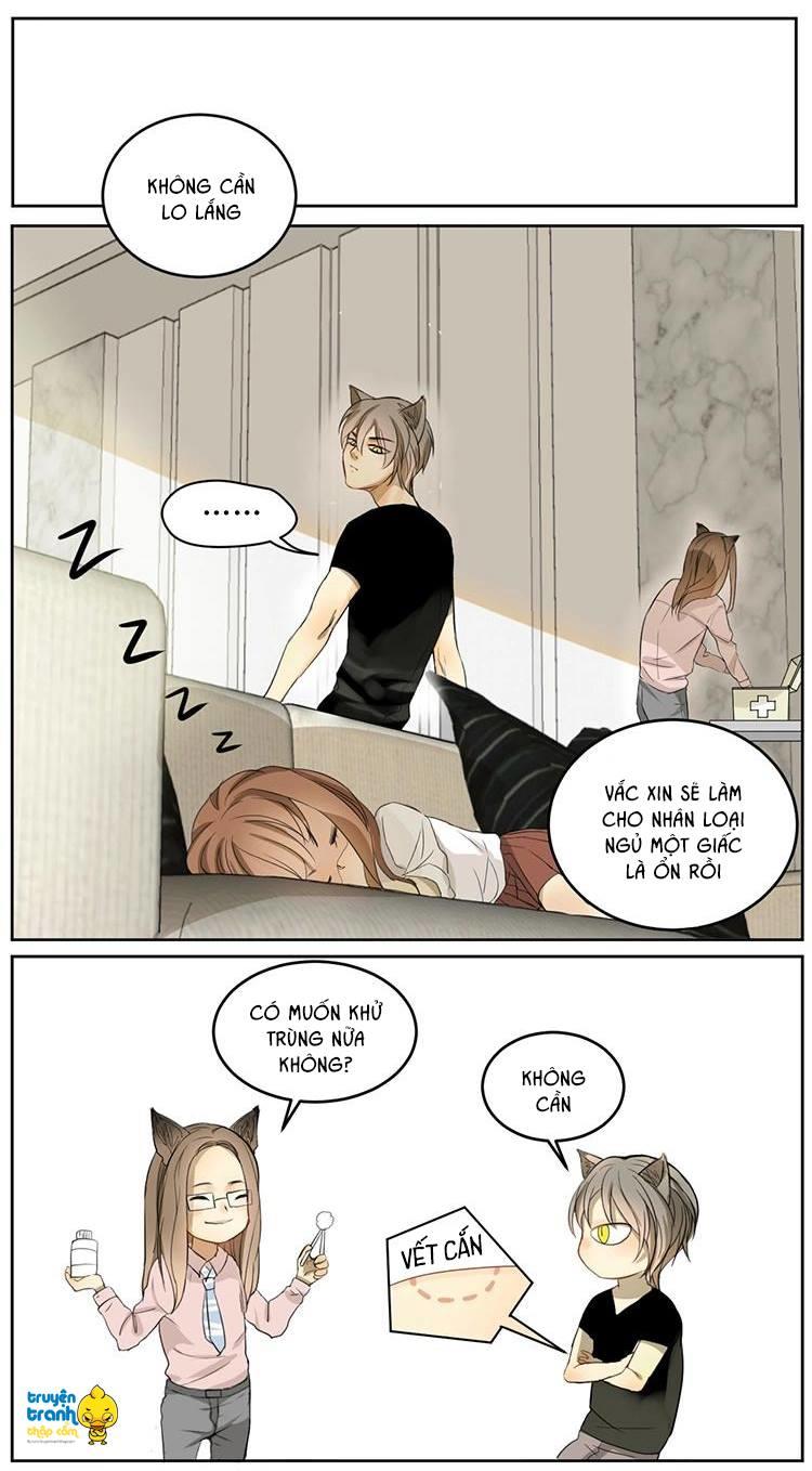 cứu mạng ! loài mèo thống trị thế giới rồi ! chapter 4 14