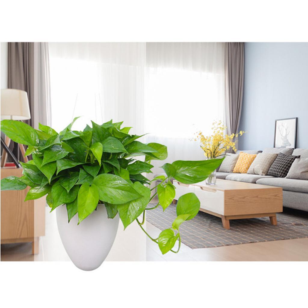 2x Hanging Self Watering Pot Flower Planter Garden Home Decoration W / Chain