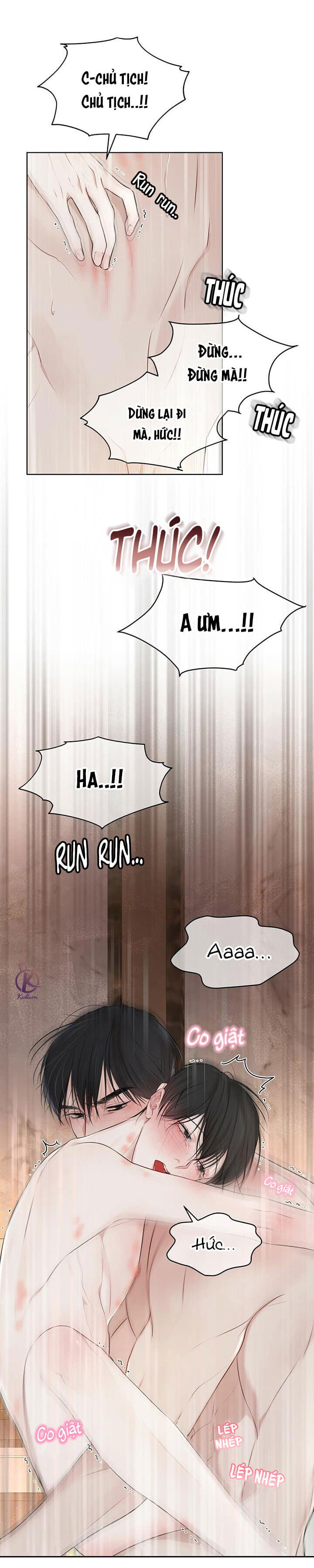 hình thái khởi sinh chapter 29 24