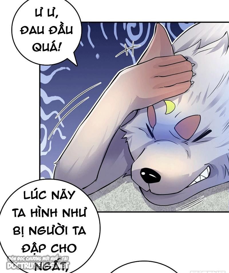 bắt đầu với kiếm vực, ta lặng lẽ tu luyện thành kiếm thần chapter 6 34