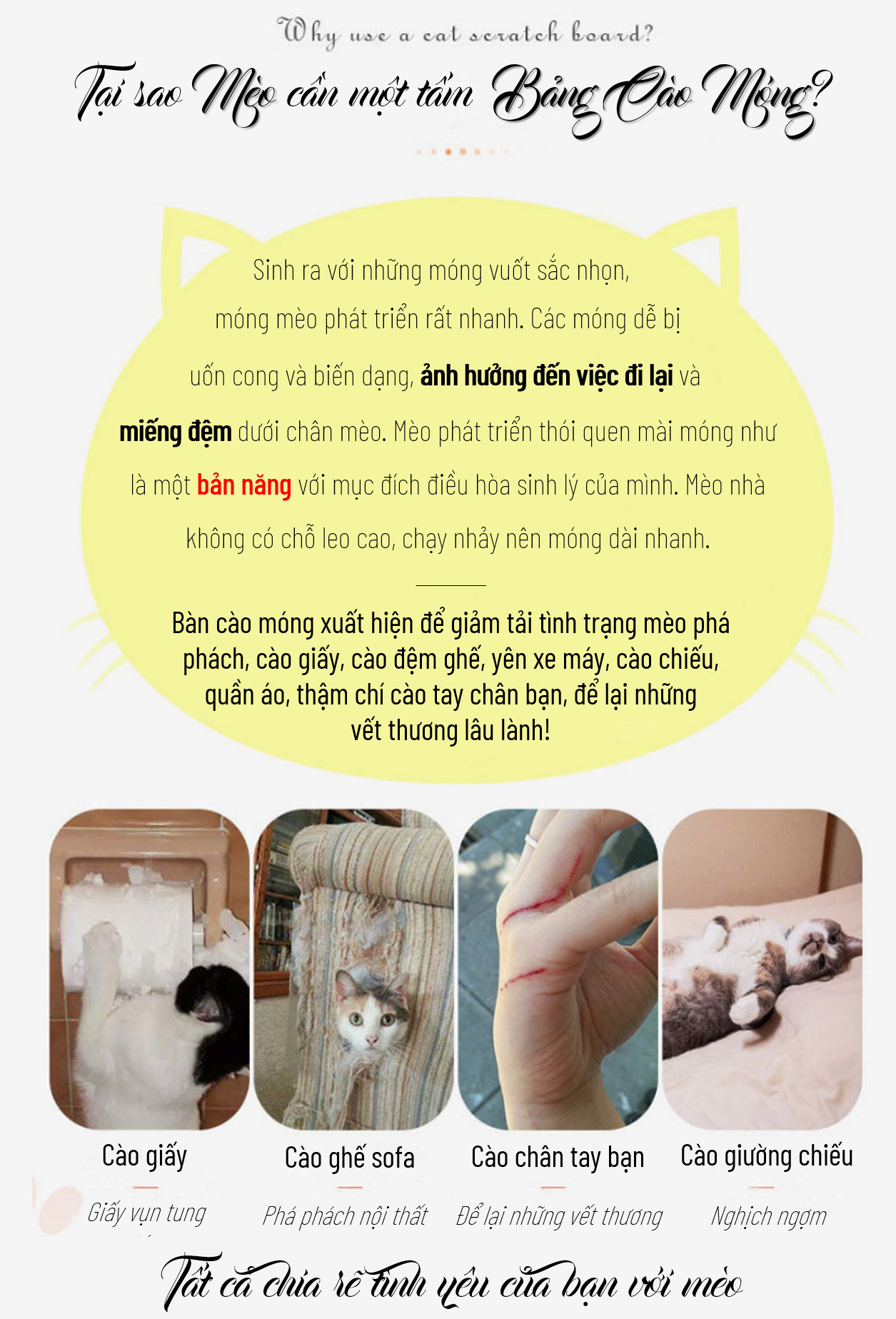 Bàn cào móng hình tròn cho mèo (tặng kèm catnip bạc hà) để các bé mèo cào móng, giảm stress, hạn chế phá đồ, cào hư đồ trong nhà, nằm ngủ, bàn cào móng mèo bìa catton