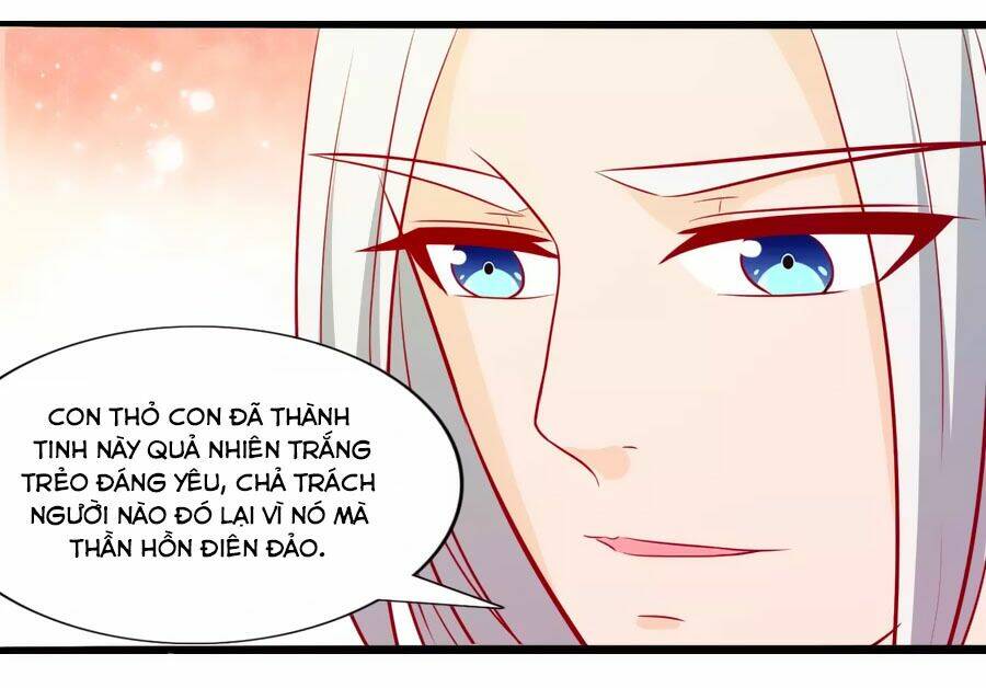 thỏ yêu tiểu vương phi chapter 50 11