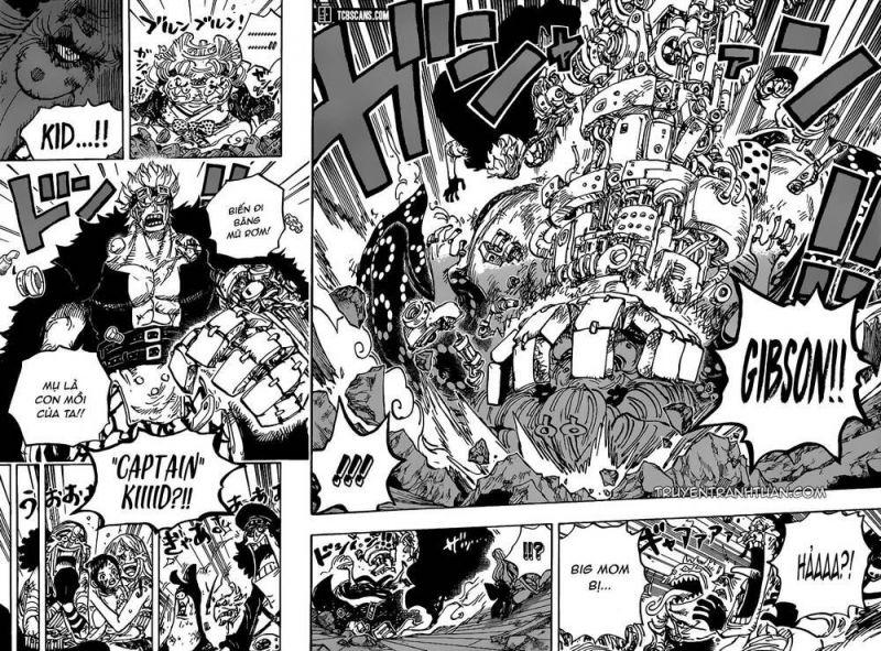 đảo hải tặc - one piece chapter 1013 13