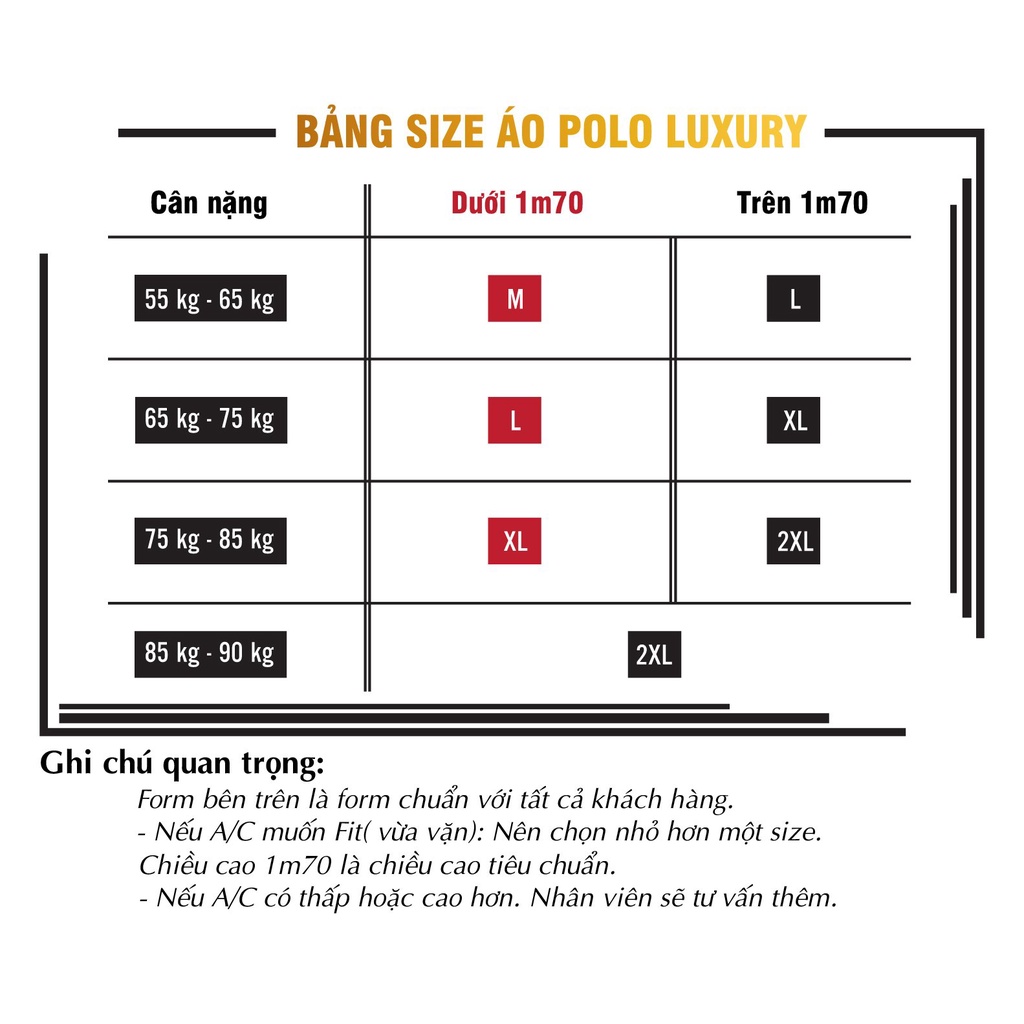 Áo Thun Polo Nam Ngắn Tay Cổ Bẻ Nhiều Màu Trơn Basic Form Rộng Vải Không Nhăn Đẹp, Thoáng Mát Cao Cấp Big Sport