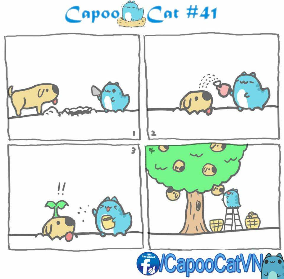 capoo cat chapter 5 1
