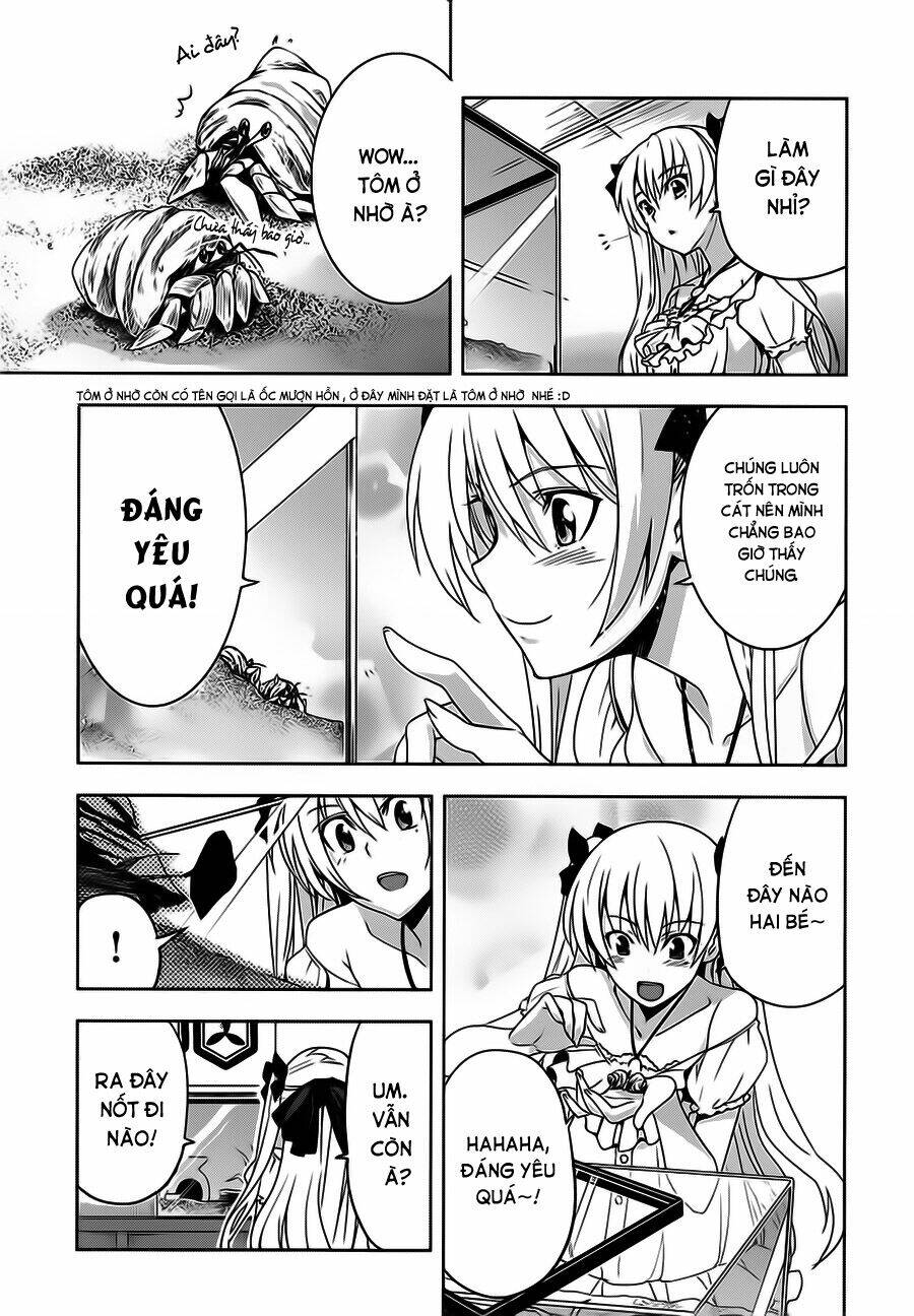 shinken de watashi ni koi shinasai chapter 8 17