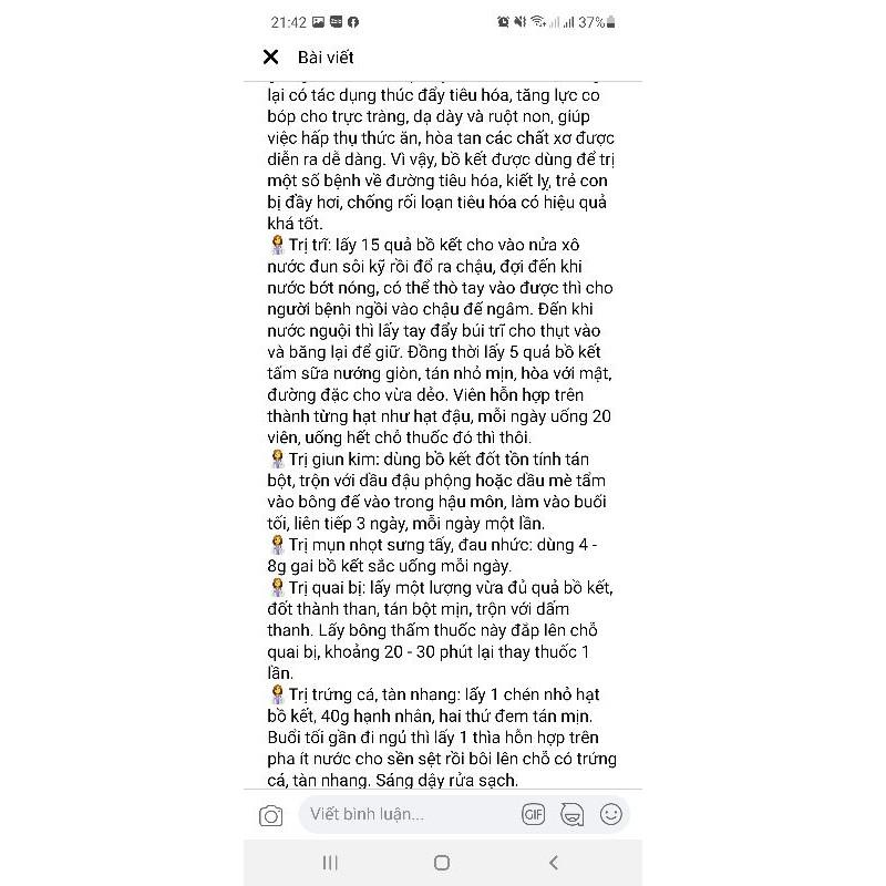 Cây giống bồ kết kết