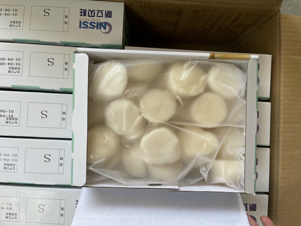 Cồi sò điệp nhật ép