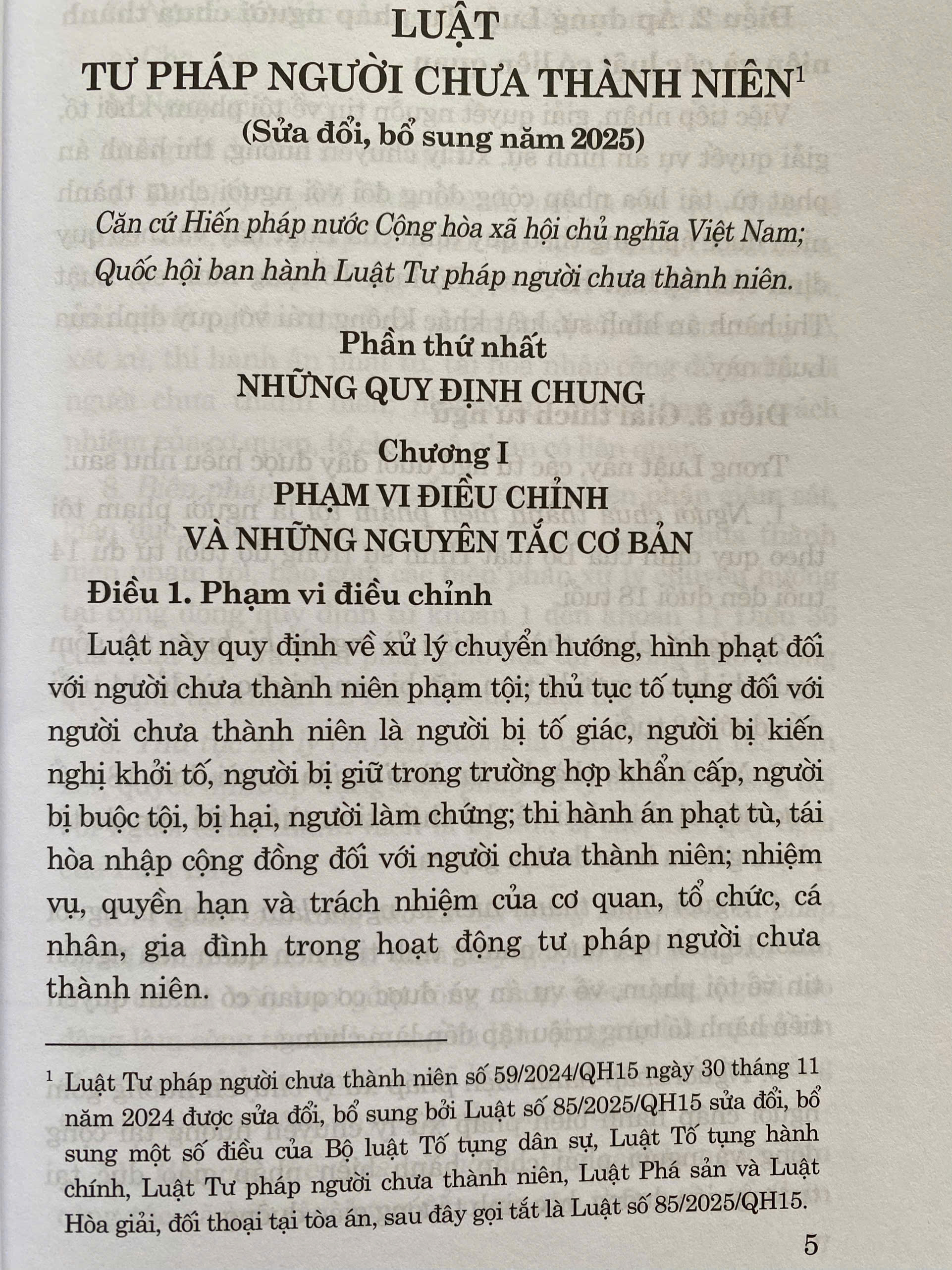 Luật Tư Pháp Người Chưa Thành Niên ( Sửa Đổi, Bổ Sung Năm 2025)