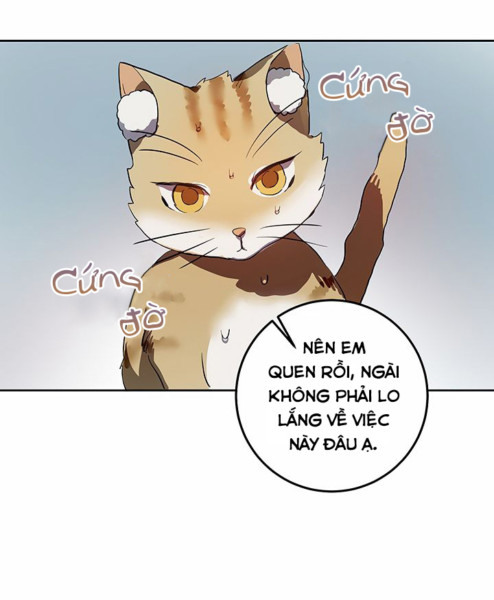 câu chuyện về đứa con hoang bị ghét bỏ chapter 6 25