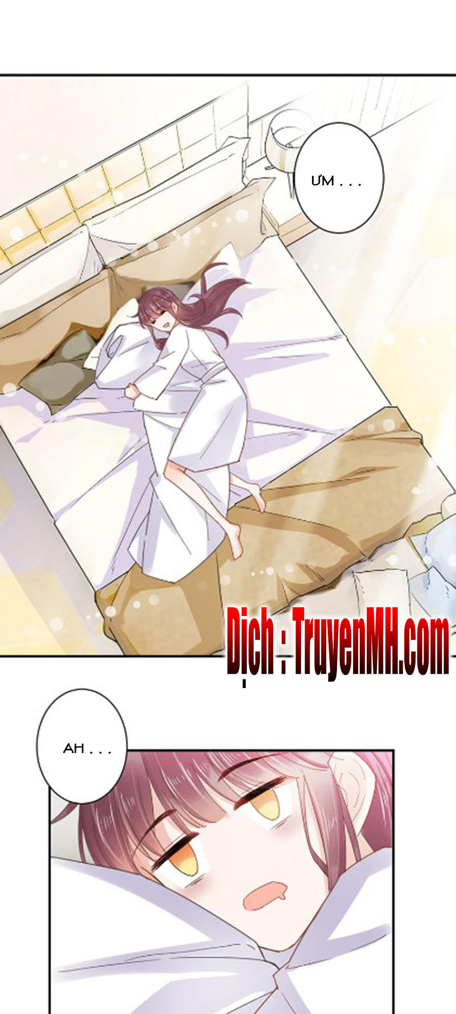 thịnh thế hôn sủng chapter 1 11