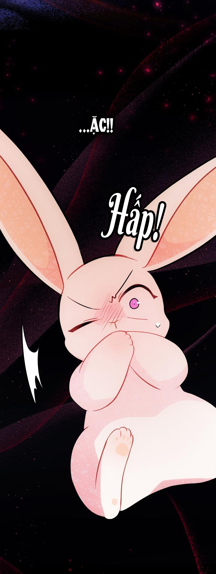 mối liên kết giữa báo đen và bé thỏ chapter 27 39