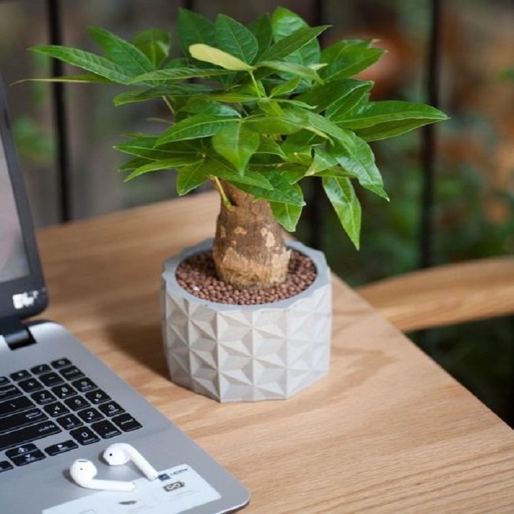 CHẬU XIMĂNG CORI , CHẬU CÂY IN 3D ĐỘC ĐÁO, XU HƯỚNG NỘI THẤT CHO KHÔNG GIAN HIỆN ĐẠI, PHÙ HỢP TRỒNG CÂY MINI ĐỂ BÀN, CÂY XƯƠNG RỒNG, SEN ĐÁ, CÂY MỌNG NƯỚC...